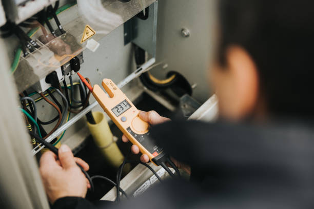 Best Electric Panel Repair  in North Alamo, TX