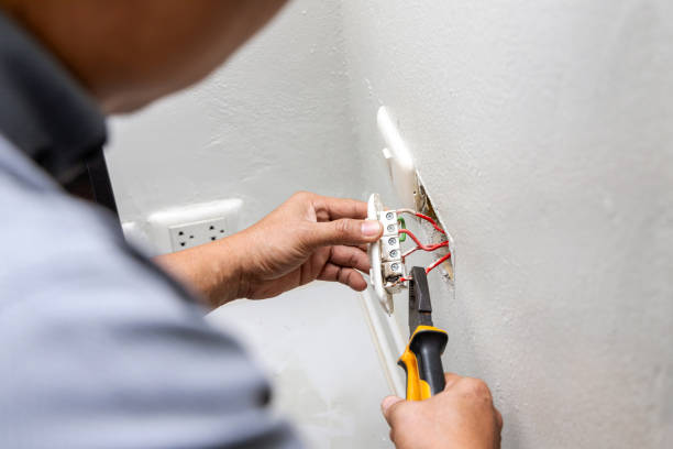 Best Home Electrical Repair  in North Alamo, TX