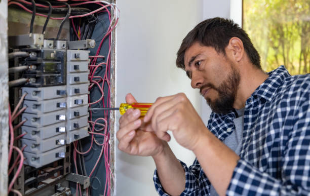 Best Electrical Repair Services  in North Alamo, TX